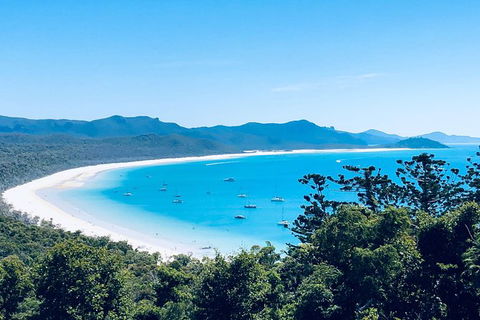 Full-Day Whitsunday Tour: Whitehaven Beach And Hill Inlet With BBQ - Hotel Accommodation 6