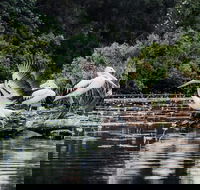 Everglades Eco Safari to Australia's Everglades - Hotel Accommodation