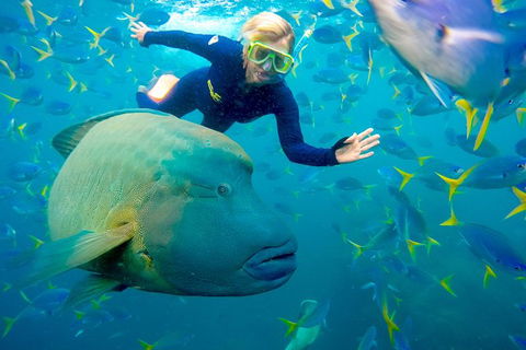 Great Barrier Reef Scenic Flight And Ocean Rafting Whitehaven Beach Day Trip - Hotel Accommodation 4