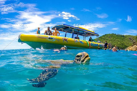Great Barrier Reef Scenic Flight And Ocean Rafting Whitehaven Beach Day Trip - Hotel Accommodation 13