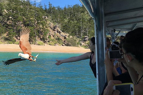 Aquascene Magnetic Island Discovery Tour - Hotel Accommodation 2