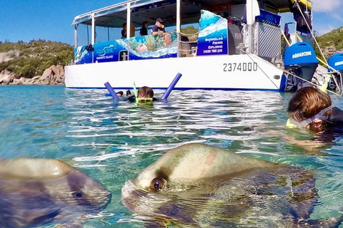 Aquascene Magnetic Island Discovery Tour - Hotel Accommodation 4