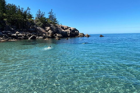 Aquascene Magnetic Island Discovery Tour - Hotel Accommodation 9