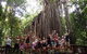 Atherton Tablelands Waterfalls Tour From Cairns - thumb 8