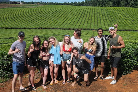 Atherton Tablelands Waterfalls Tour From Cairns - Hotel Accommodation 6