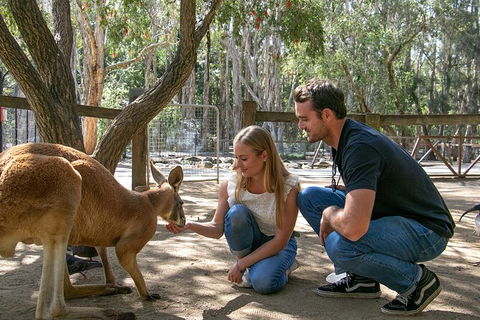Currumbin Wildlife Sanctuary General Entry Ticket - Hotel Accommodation 1