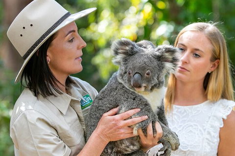 Currumbin Wildlife Sanctuary General Entry Ticket - Hotel Accommodation 6