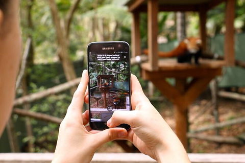 Currumbin Wildlife Sanctuary General Entry Ticket - Hotel Accommodation 4