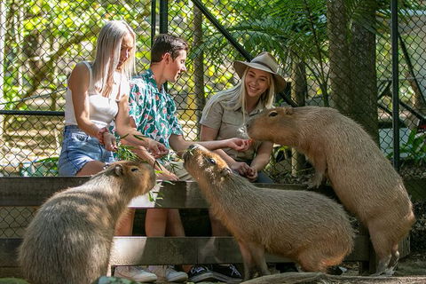 Currumbin Wildlife Sanctuary General Entry Ticket - Hotel Accommodation 16