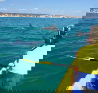 Kayak with Dolphins and 4WD Great Beach Drive Day Trip from Noosa - Hotel Accommodation