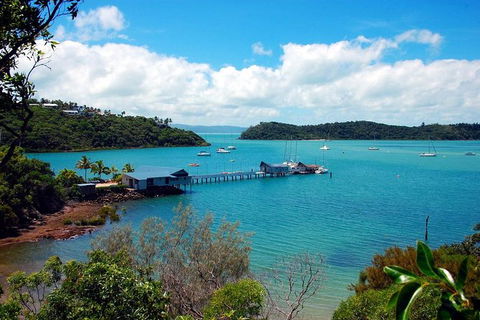 Shared Departure Transfer: Airlie Beach To Proserpine Airport - Hotel Accommodation 1