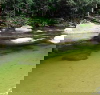 Afternoon Half-Day Daintree Rainforest and River Tour - Hotel Accommodation