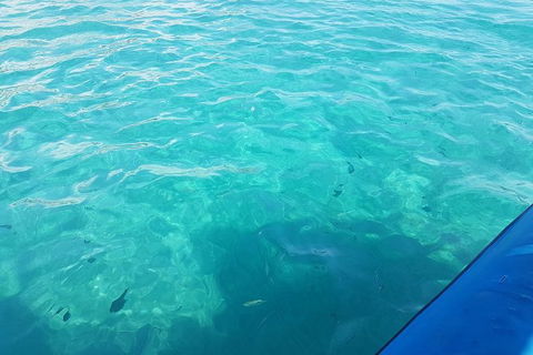 Gold Coast Try-Scuba Experience At Wave Break Island - Hotel Accommodation 12