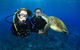 Gold Coast Try-Scuba Experience At Wave Break Island - thumb 0