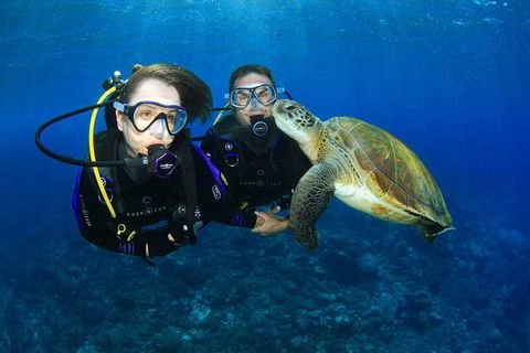 Gold Coast Try-Scuba Experience At Wave Break Island - Hotel Accommodation 0