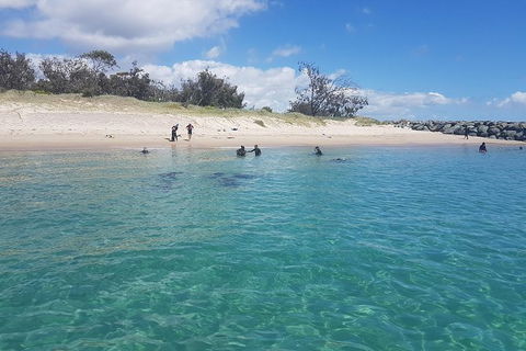 Gold Coast Try-Scuba Experience At Wave Break Island - Hotel Accommodation 14