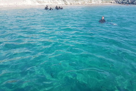Gold Coast Try-Scuba Experience At Wave Break Island - Hotel Accommodation 13
