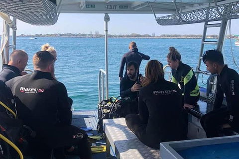 Gold Coast Try-Scuba Experience At Wave Break Island - Hotel Accommodation 1