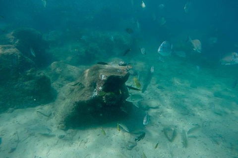 Gold Coast Try-Scuba Experience At Wave Break Island - Hotel Accommodation 5