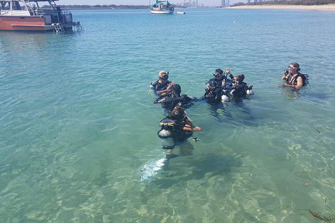 Gold Coast Try-Scuba Experience At Wave Break Island - Hotel Accommodation 11