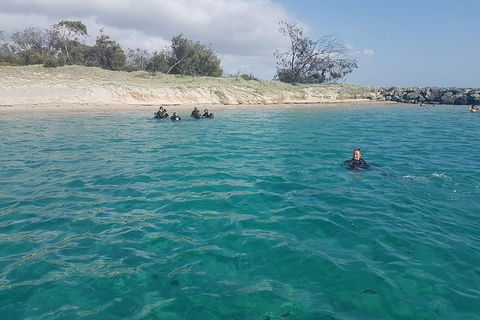 Gold Coast Try-Scuba Experience At Wave Break Island - Hotel Accommodation 16