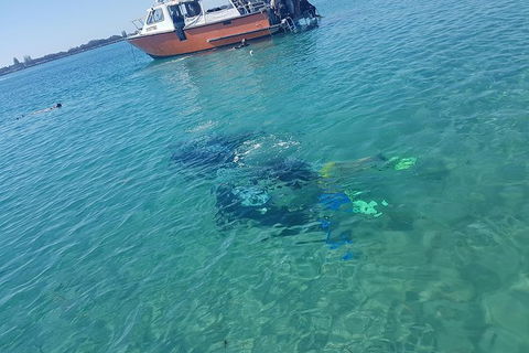 Gold Coast Try-Scuba Experience At Wave Break Island - Hotel Accommodation 15