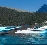 Private Standard Charter Experience in Whitsundays - Hotel Accommodation