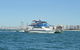 Whale Watching Tour In Gold Coast - thumb 4