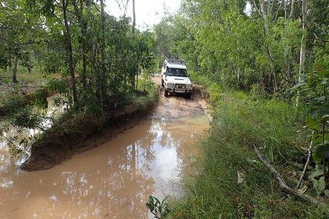 Cairns 4WD Waterfall And Rainforest Tour Including Kuranda Scenic Railway - Hotel Accommodation 3