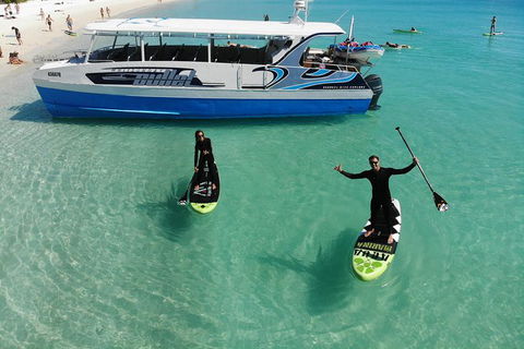 Whitsunday Bullet Day Trip - Whitehaven Beach And Snorkelling - Hotel Accommodation 7