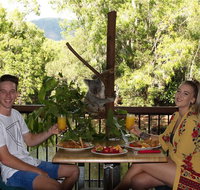 Hartley's Crocodile Adventures Entry Ticket and Breakfast with the Koalas - Hotel Accommodation