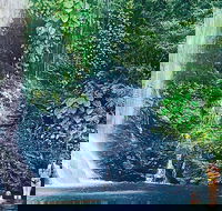 Morning Half Day Tour - Hotel Accommodation