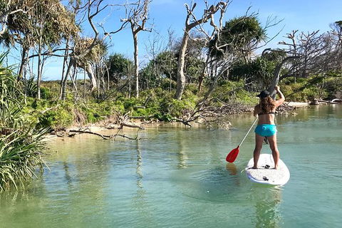 Early Morning Weekend Paddleboard Special - Hotel Accommodation 5