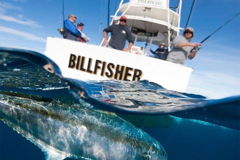 Full Day Fishing Charter Airlie Beach Whitsundays - Hotel Accommodation 2