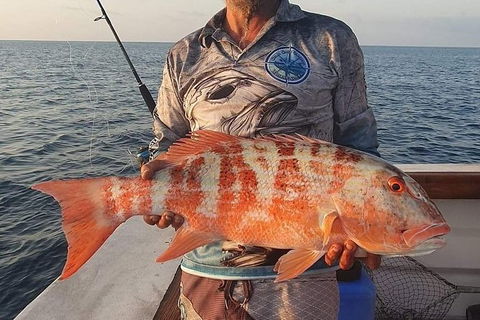 Full Day Whitsunday Reef Fishing Charter Boat - Hotel Accommodation 7