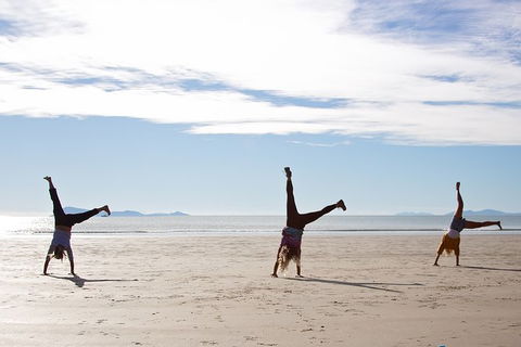 Wildlife Tour - Kangaroos On The Beach At Sunrise - Hotel Accommodation 9