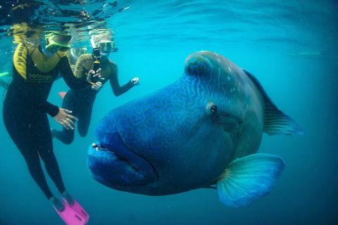 2Day 2Night Sail, Snorkel & SUP Adventure Whitsundays Double - Hotel Accommodation 9