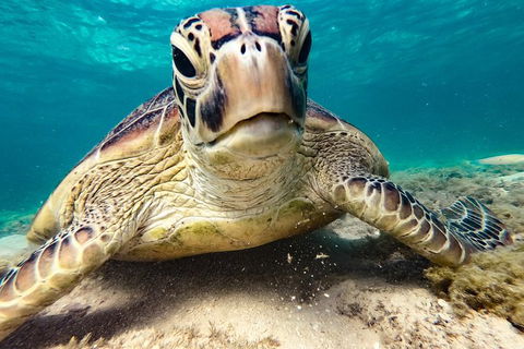 2Day 2Night Sail, Snorkel & SUP Adventure Whitsundays Double - Hotel Accommodation 6