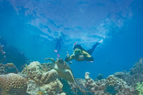 2Day 2Night Sail, Snorkel & SUP Adventure Whitsundays Double - Hotel Accommodation 14