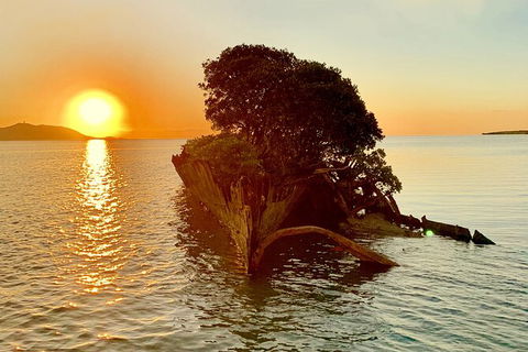 Aquascene Magnetic Island Sunset & Shipwreck Tour - Hotel Accommodation 3
