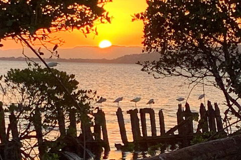 Aquascene Magnetic Island Sunset & Shipwreck Tour - Hotel Accommodation 2