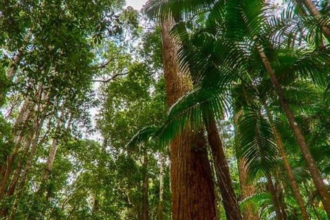 3-Day Fraser Island Hiking And 4WD Adventure From Hervey Bay - Hotel Accommodation 1