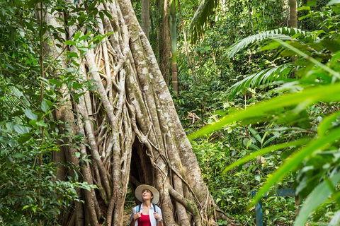 Rainforest To Reef Experience - Reef And Beyond Guided Holidays - Hotel Accommodation 2