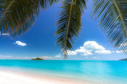 Rainforest To Reef Experience - Reef And Beyond Guided Holidays - Hotel Accommodation 1