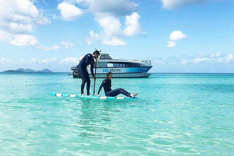 Rainforest To Reef Experience - Reef And Beyond Guided Holidays - Hotel Accommodation 3