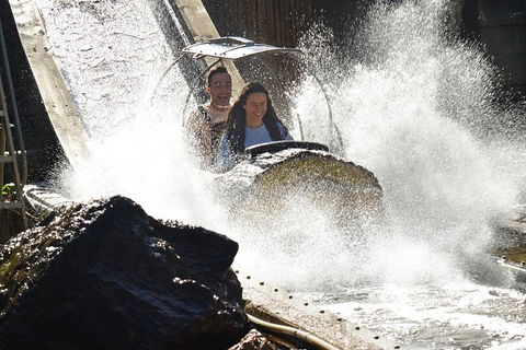 Theme Park Transfers From Brisbane - Hotel Accommodation 4