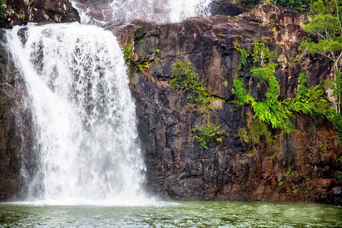Cedar Creek Falls And Hydeaway Bay Tour - Hotel Accommodation 2