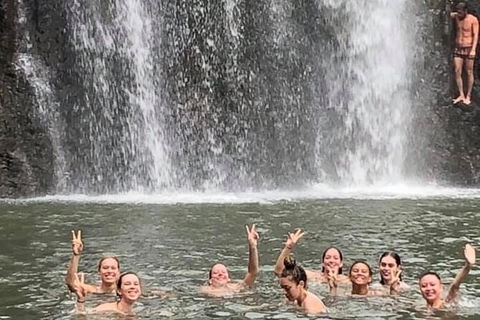 Cedar Creek Falls And Hydeaway Bay Tour - Hotel Accommodation 3