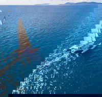 2-Night Whitsunday Islands Sailing Adventure on Trimaran 'Avatar' - Hotel Accommodation