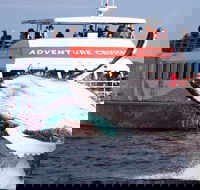 Half-Day Whale Watching in Urangan